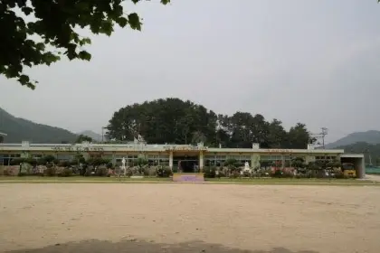 야동 초등학교 근황 (2)