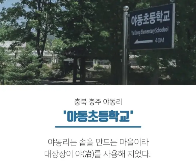 야동 초등학교 근황 (3)