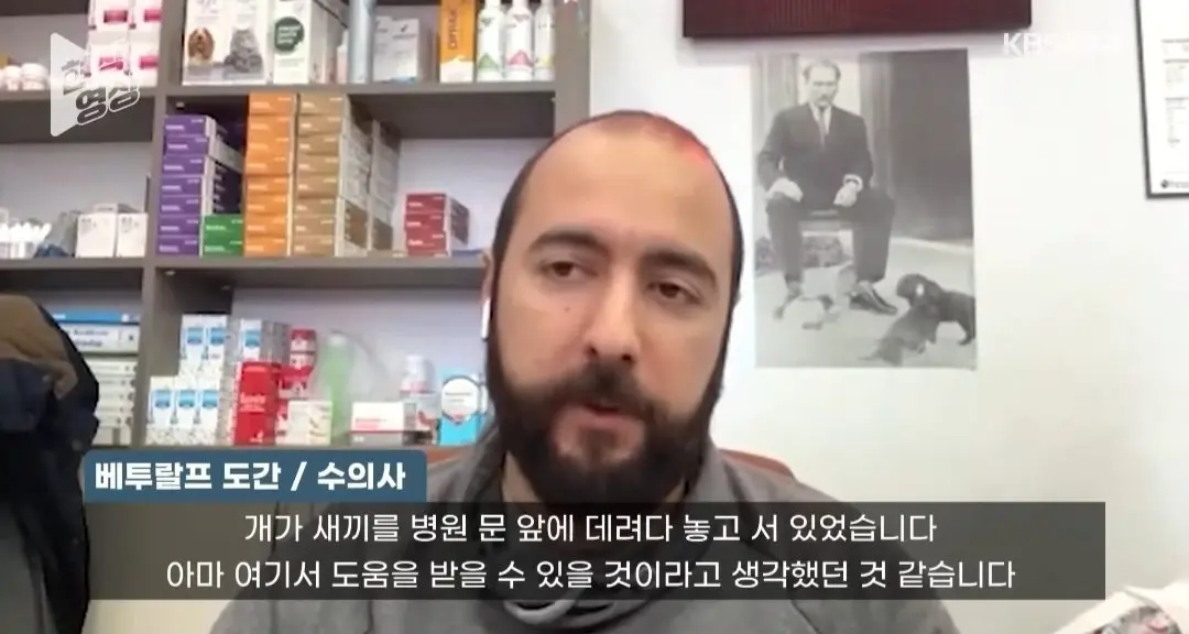 죽어가는 새끼 물고 동물병원 찾은 어미개 (8)