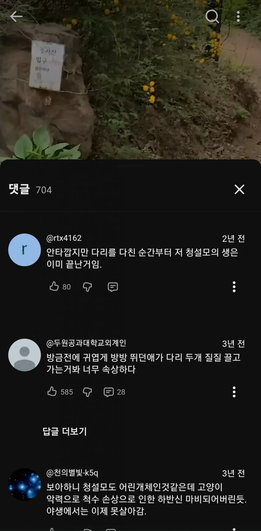 한국에서 다람쥐랑 청설모가 안보이는 이유 (4)
