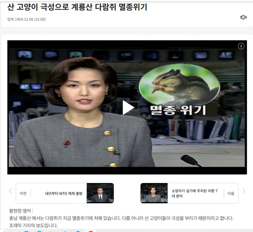 한국에서 다람쥐랑 청설모가 안보이는 이유 (5)