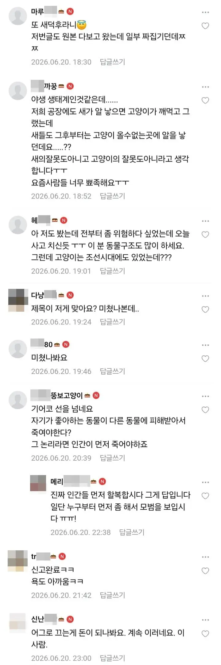 고양이, 캣맘과 전쟁을 선포한 새덕후 (3)