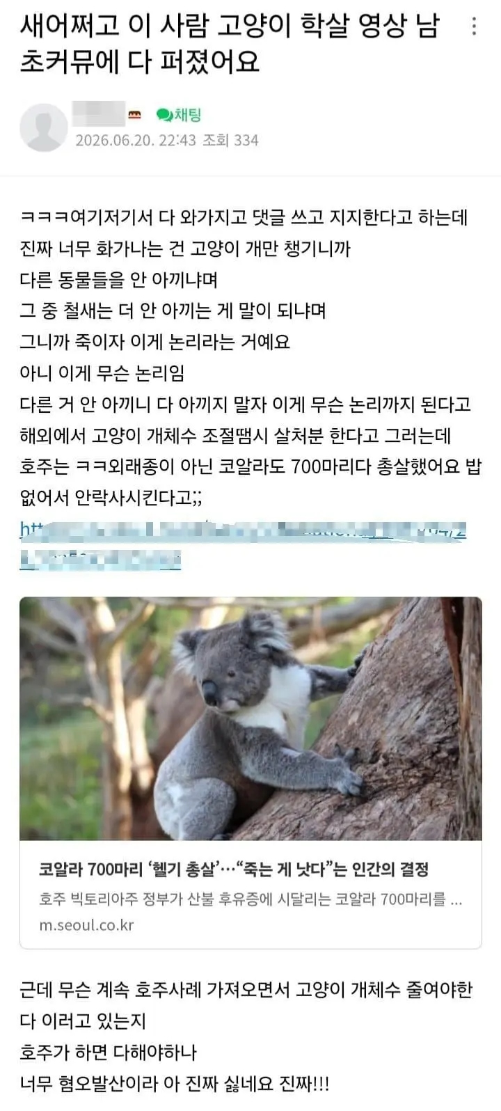 고양이, 캣맘과 전쟁을 선포한 새덕후 (4)