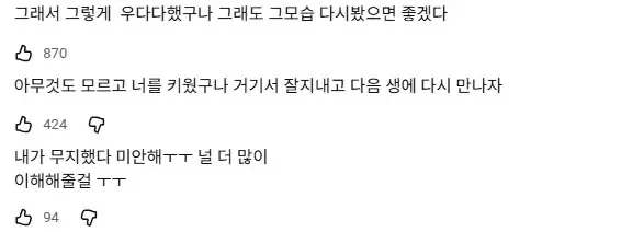 강아지가 목욕후 우다다 하는 이유 (2)