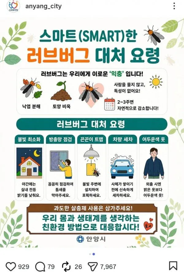 안양시 러브버그 포스터 (2)