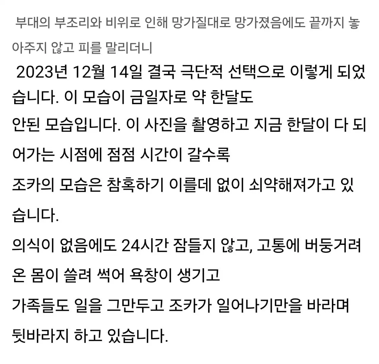 17사단 원일병 사건 가족이 쓴 글 (5)