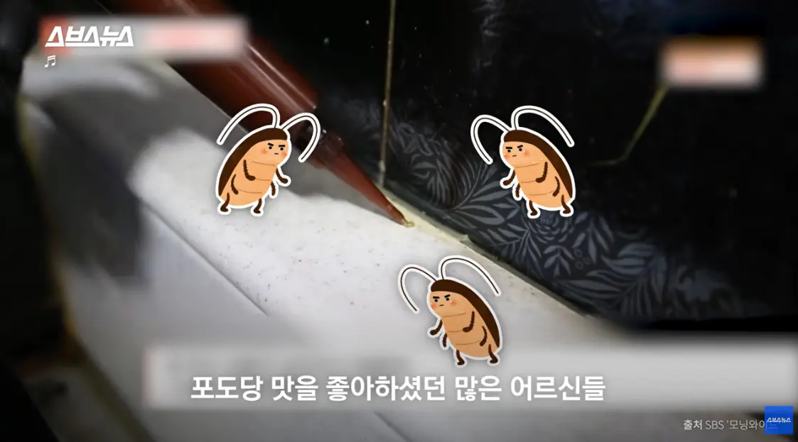 무섭게 진화하는 MZ충 (8)