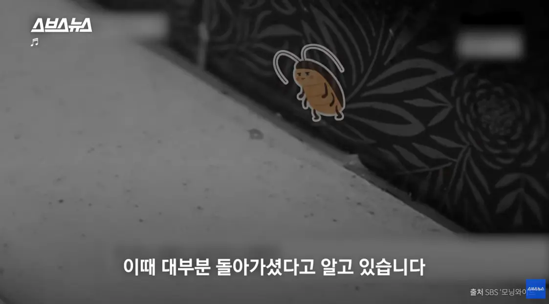 무섭게 진화하는 MZ충 (9)