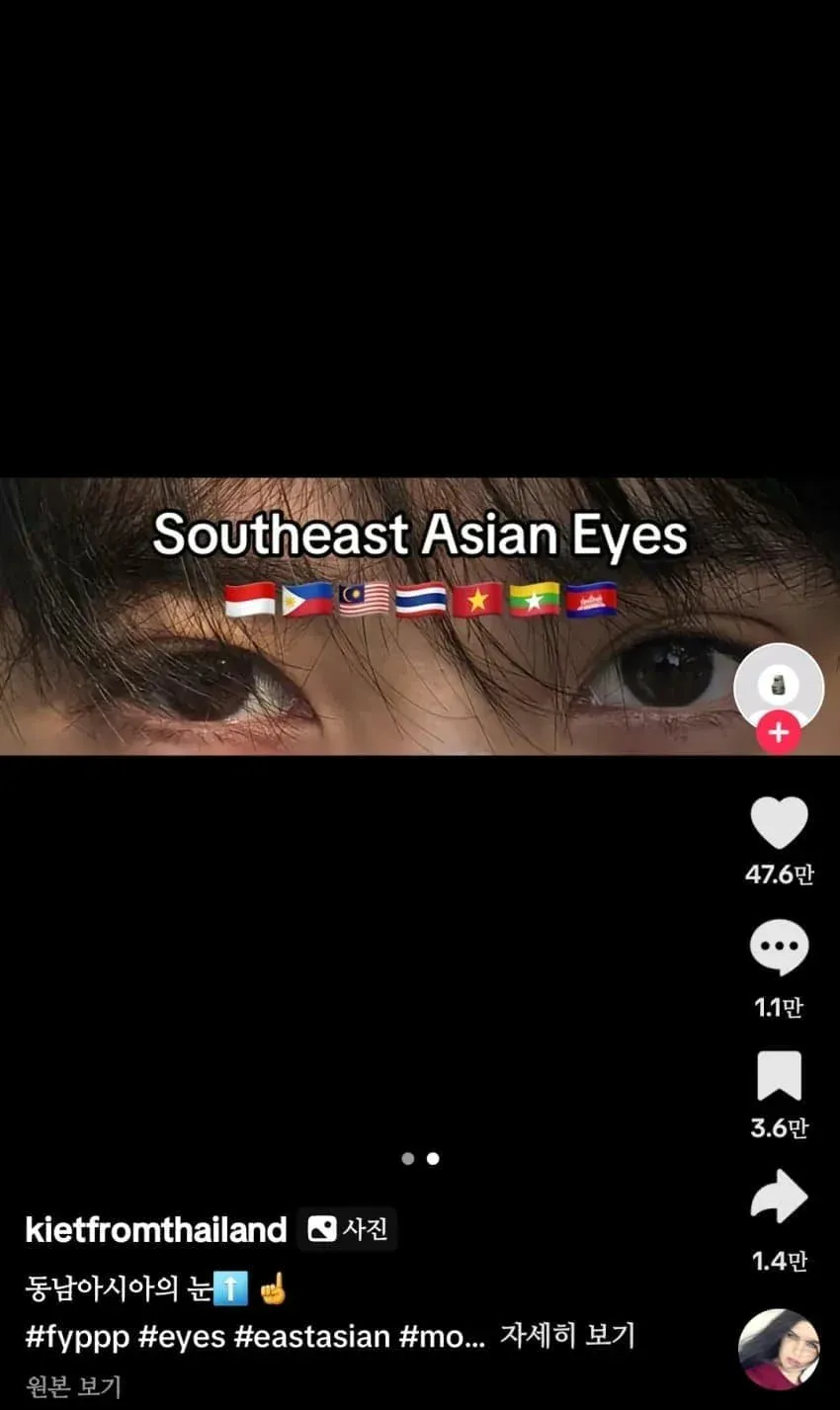 동남아 팰때는 한마음인 한중일 (2)