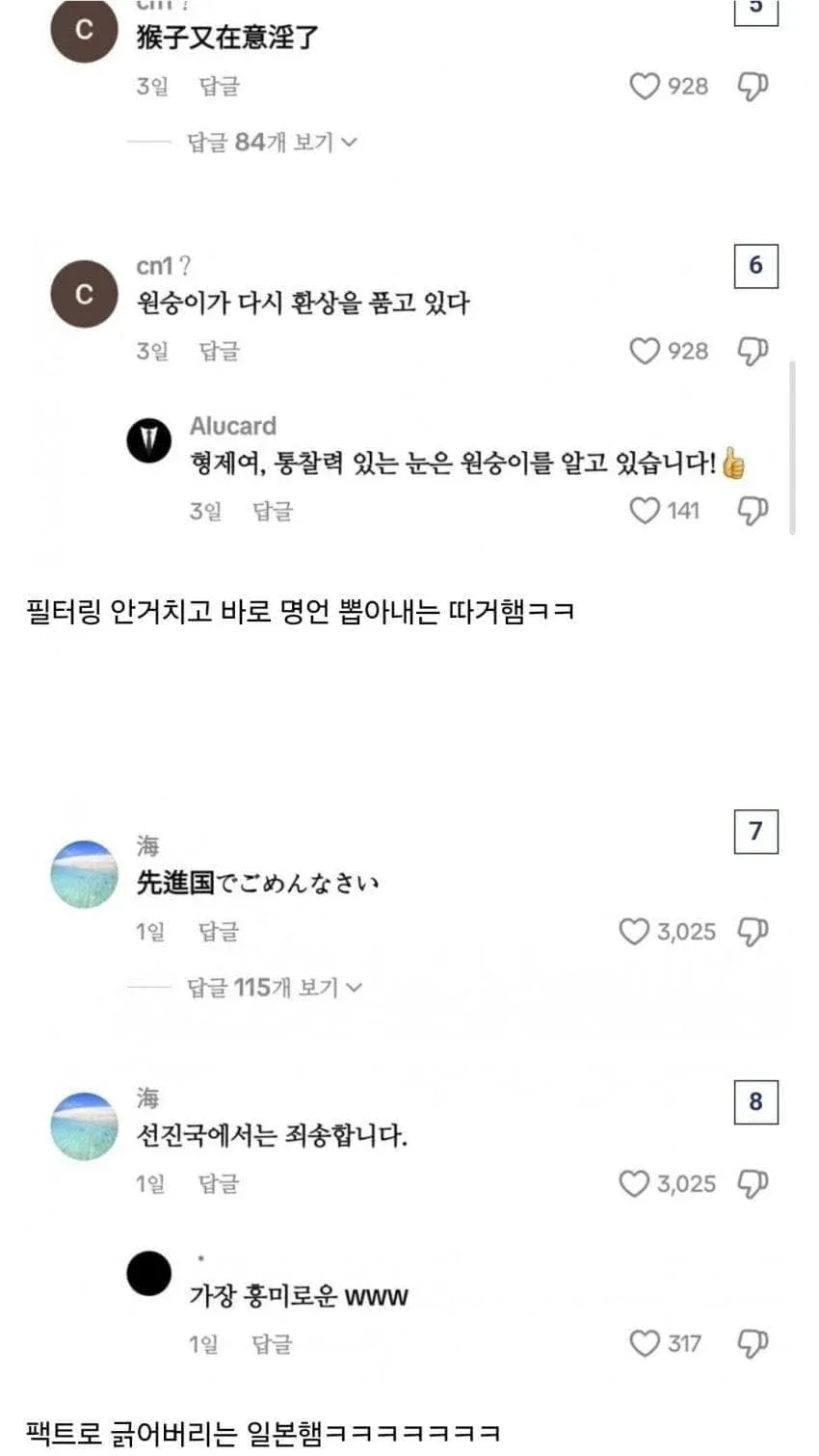 동남아 팰때는 한마음인 한중일 (4)