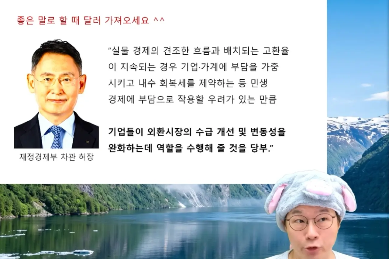 슈카월드가 말하는 환율 사태 (7)