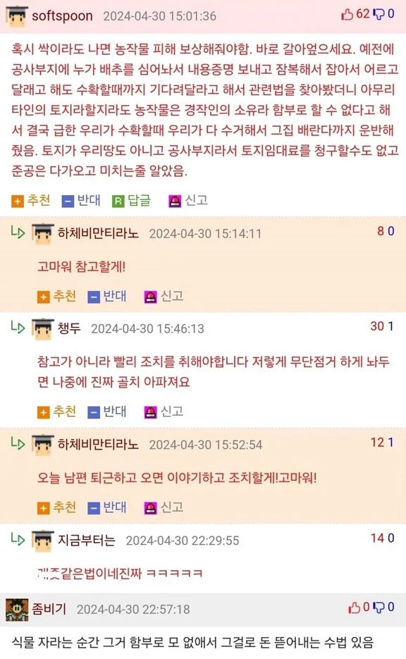 내 땅에 무단으로 농사 지으면 막아야 하는 이유 (4)