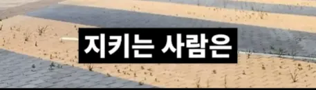 전북 새만금 잼버리 근황 (10)