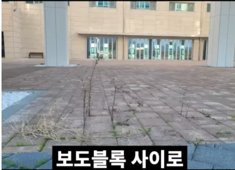 전북 새만금 잼버리 근황 (24)