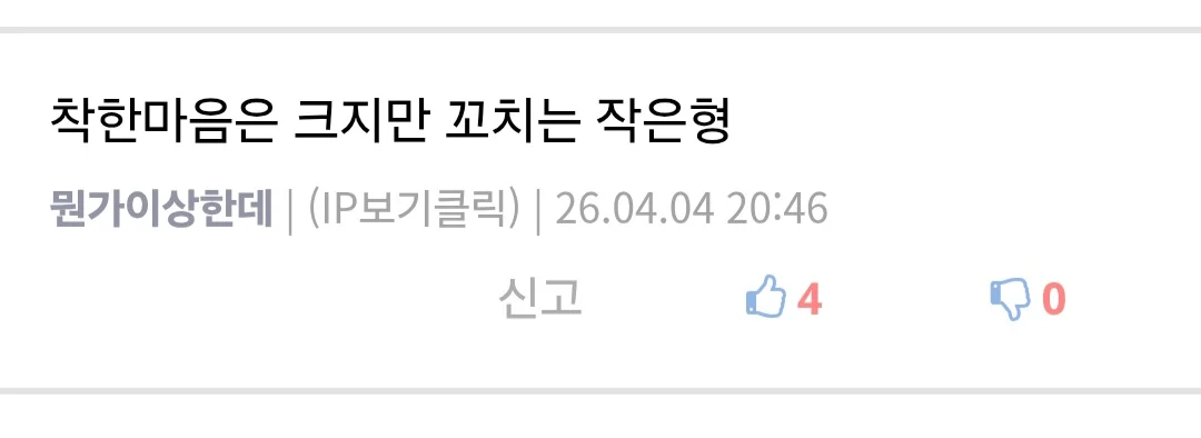 마음은 크지만 꼬치는 작은 형 (7)