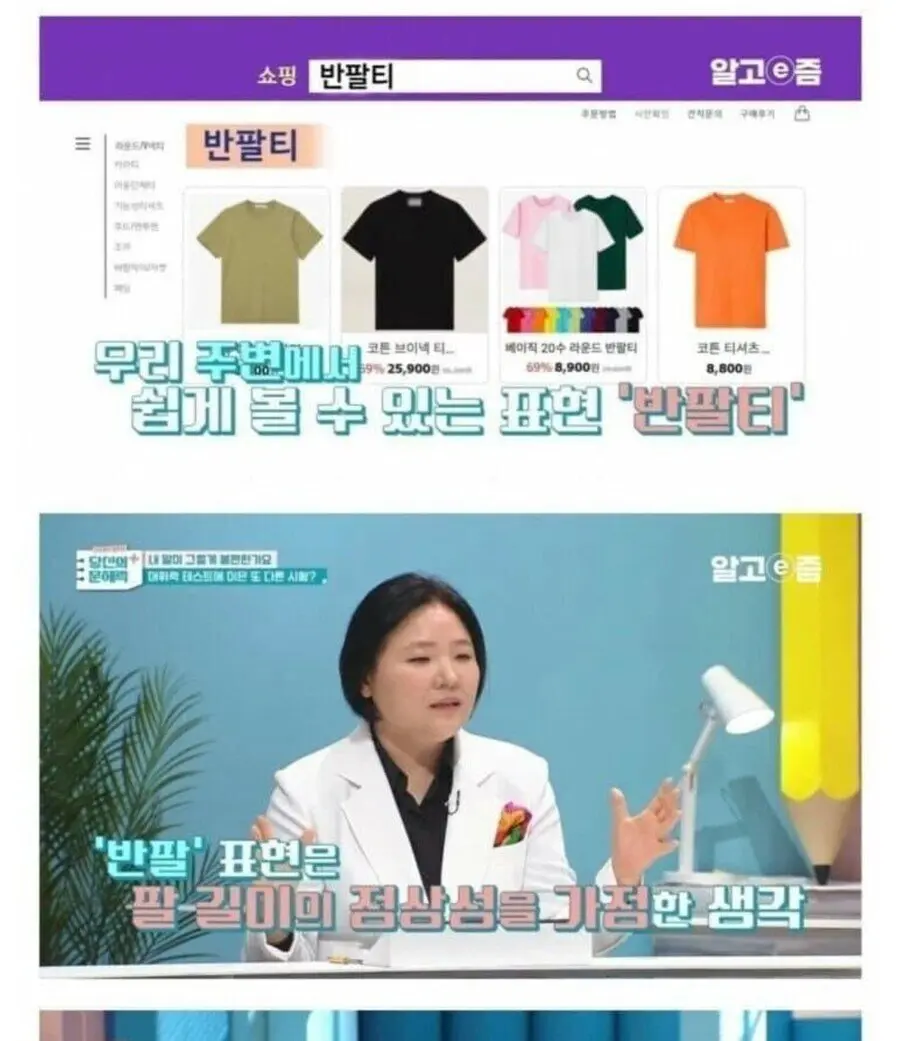 반팔티, 불법체류자는 차별적 표현 (2)