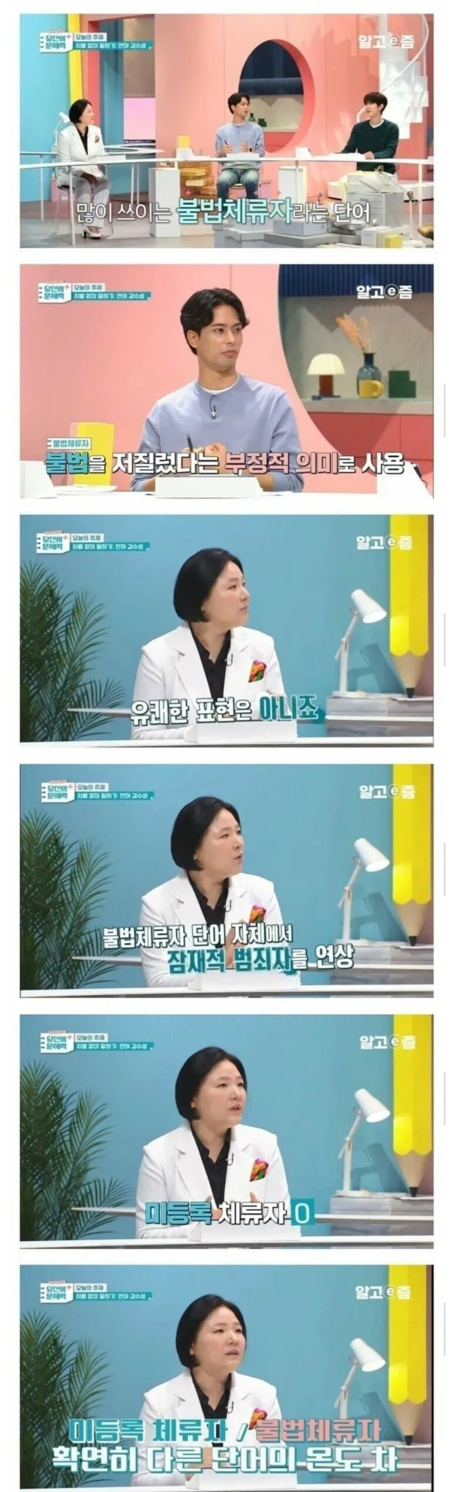 반팔티, 불법체류자는 차별적 표현 (3)
