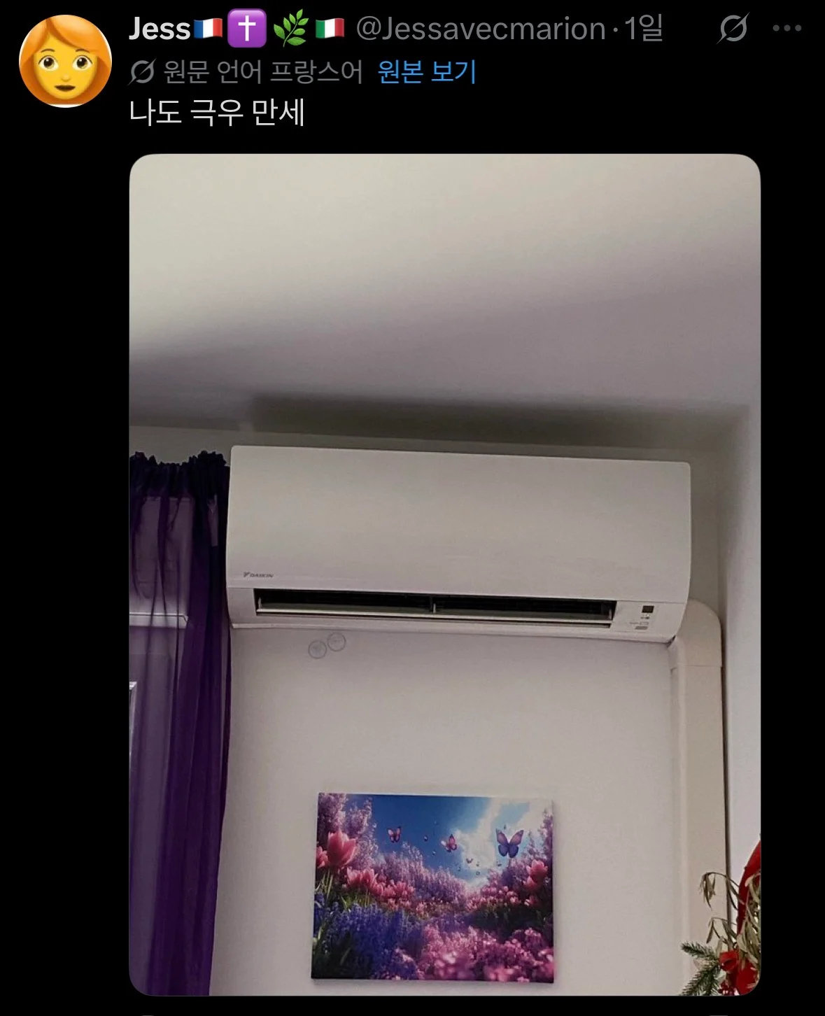 극우 선언하는 프랑스인들 (3)