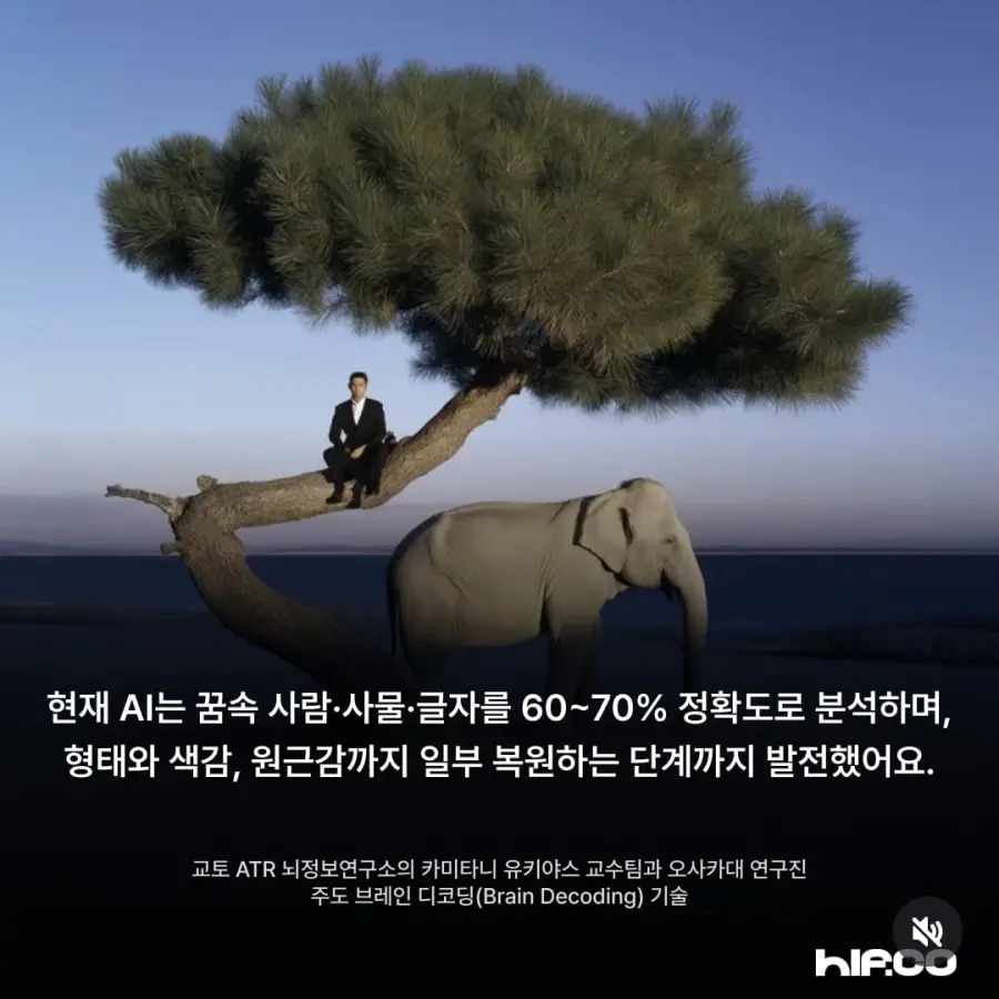 어젯밤에 꾼 꿈, 다시보기 가능해 진다 (4)