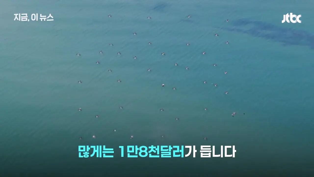 “쇼 하고 있다“ 한국군 비판한 우크라이나 (14)