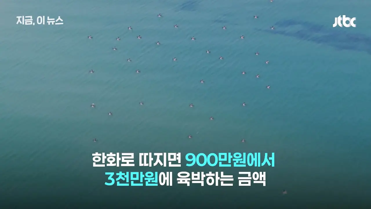 “쇼 하고 있다“ 한국군 비판한 우크라이나 (15)