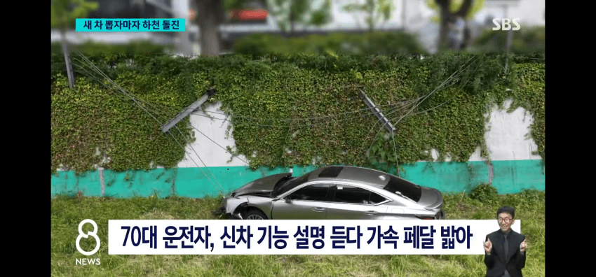신차 출고 하자마자 운전미숙으로 폐차각 (5)