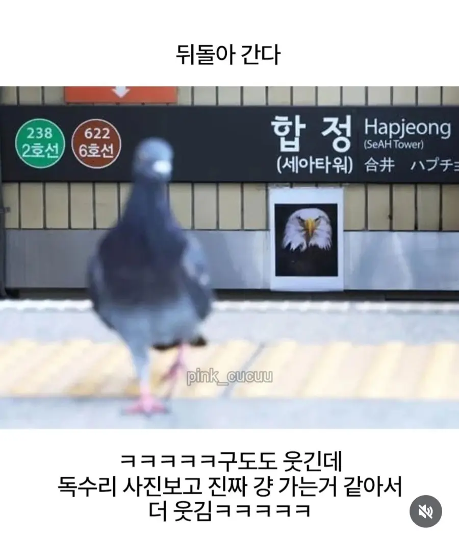 합정역 독수리 사진 (2)