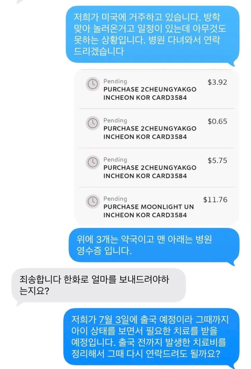 논란의 송도 펫카페 돼지 물림 사고 (6)