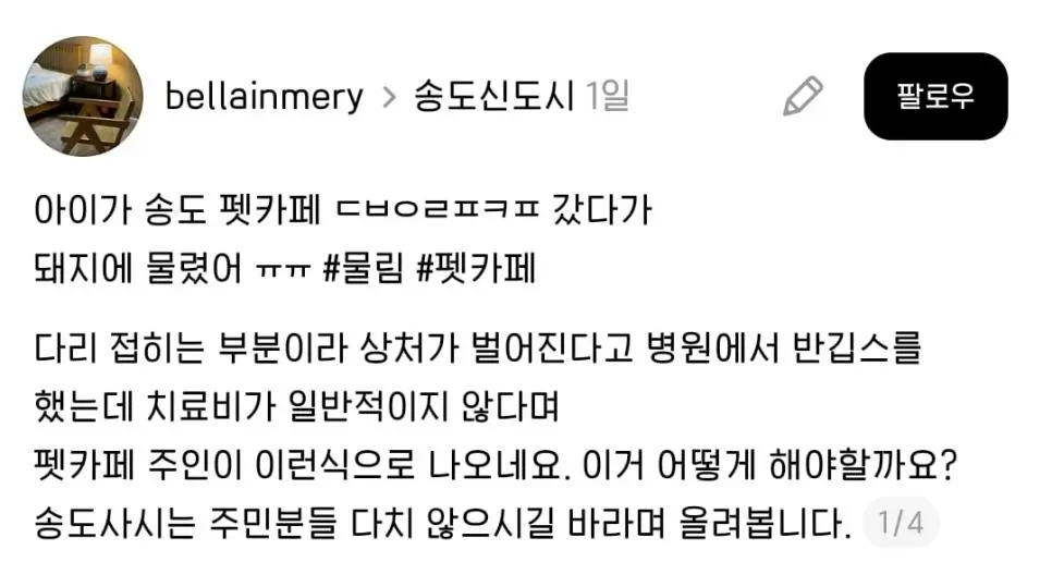 논란의 송도 펫카페 돼지 물림 사고