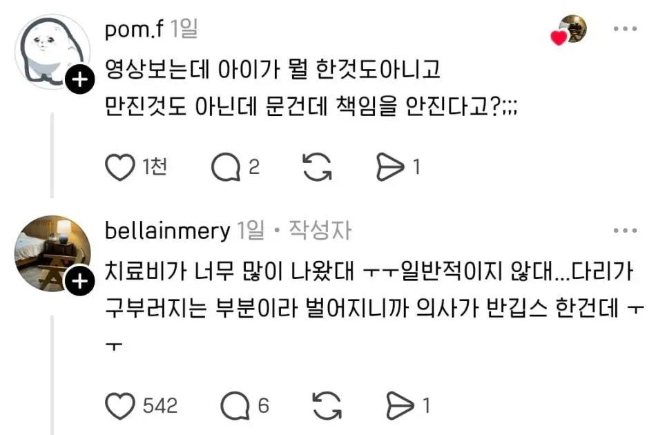 논란의 송도 펫카페 돼지 물림 사고 (8)
