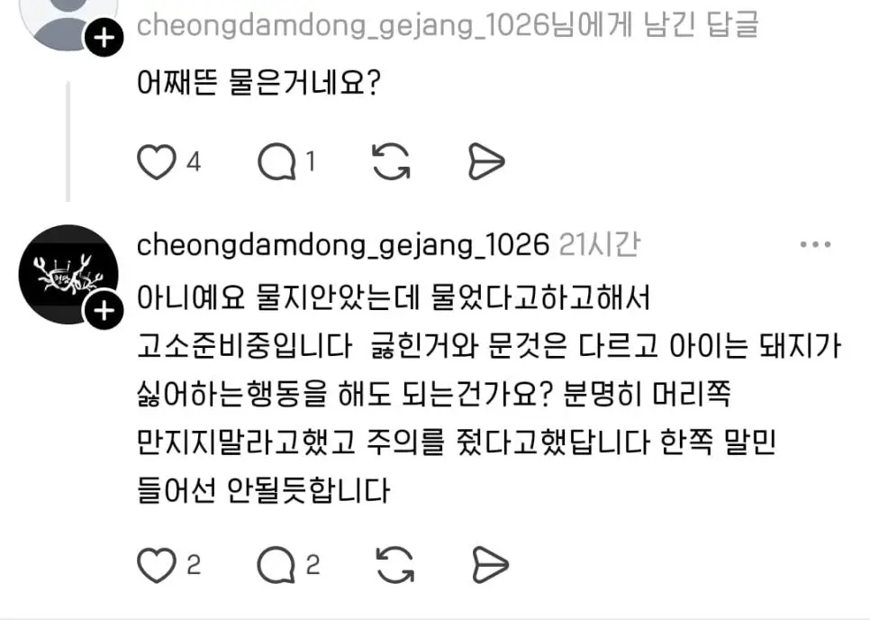 논란의 송도 펫카페 돼지 물림 사고 (11)