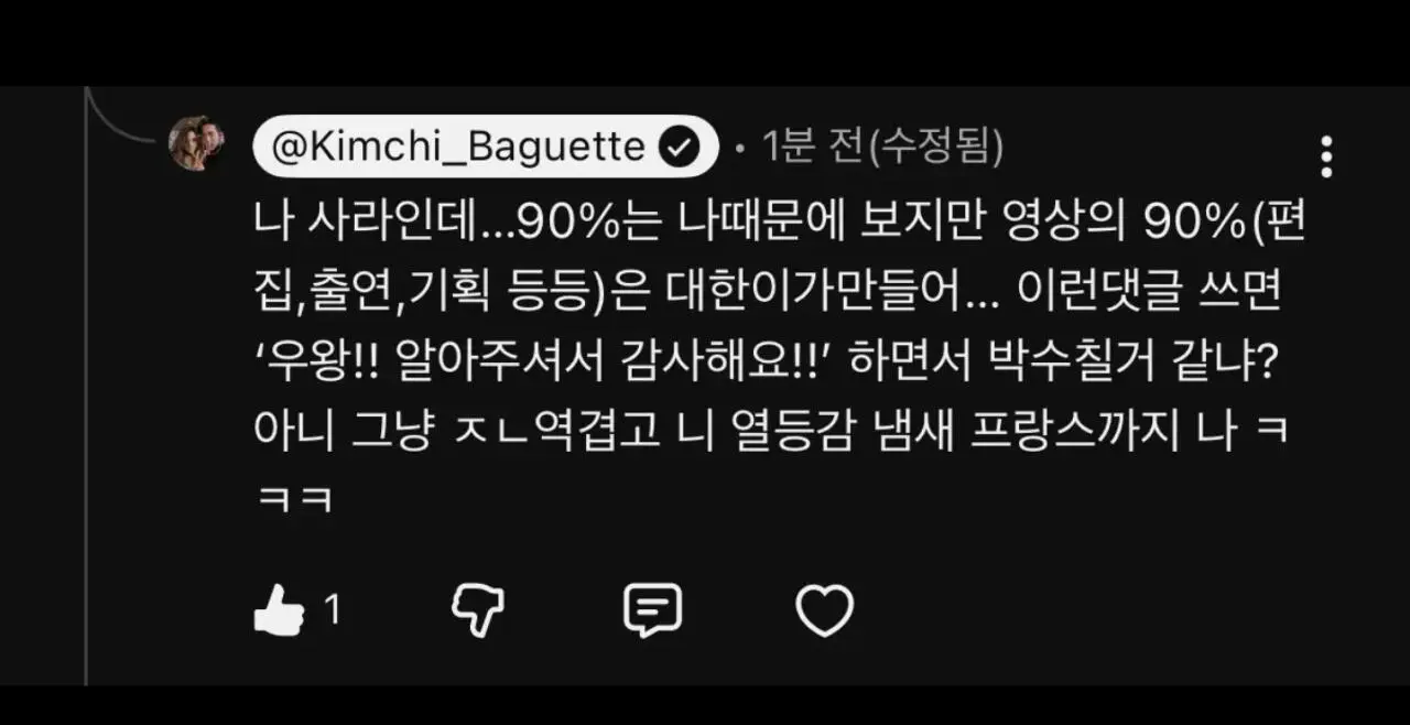 유튜브 김치와바게뜨에 박제된 악플러와 일침 (4)