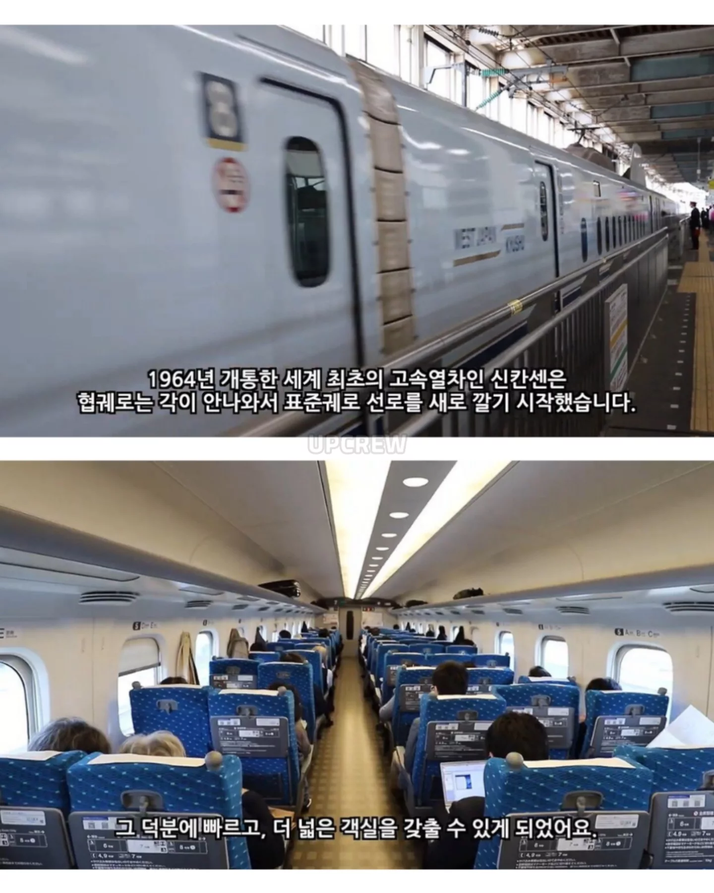 일본의 역대급 판단미스 (12)