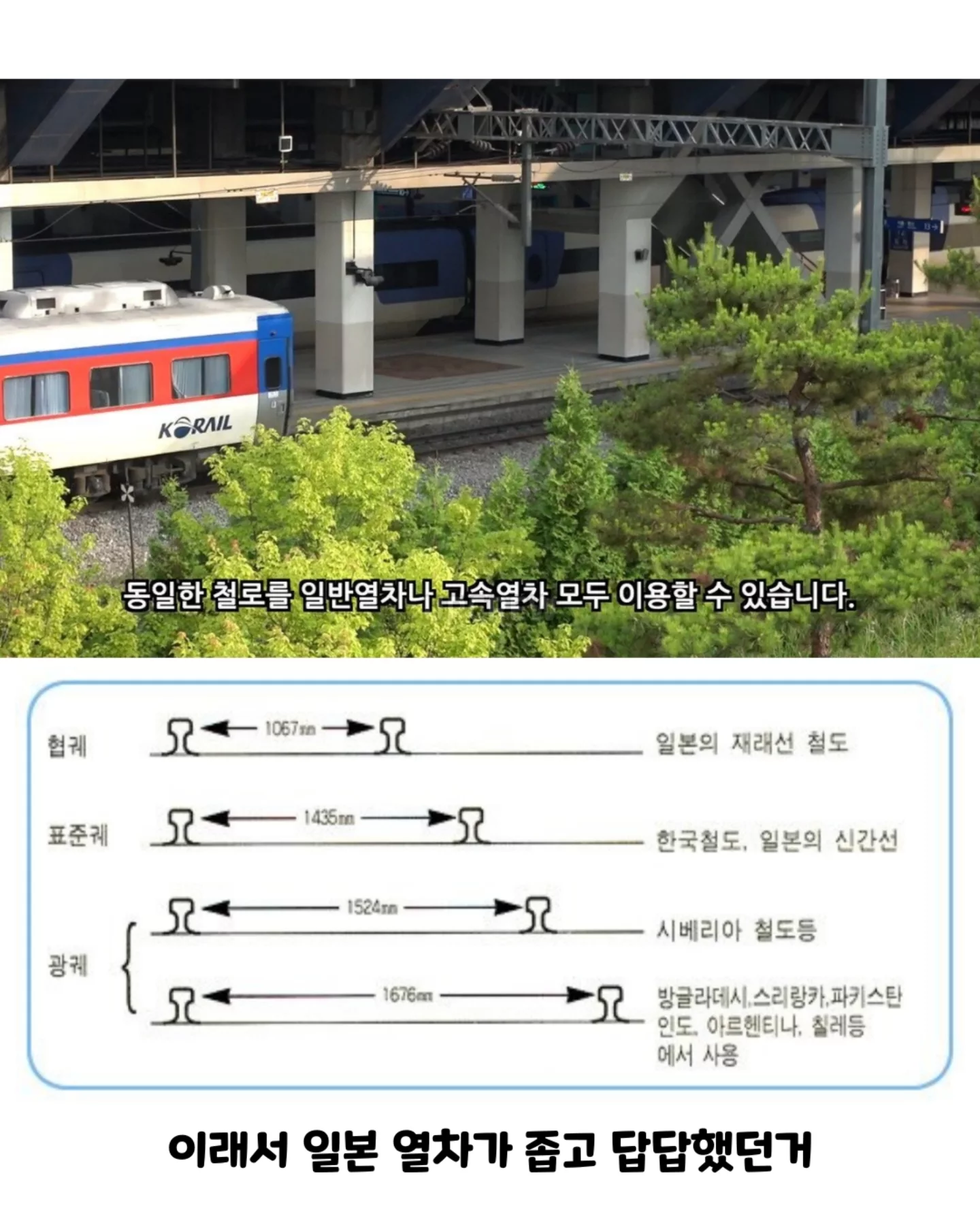 일본의 역대급 판단미스 (15)
