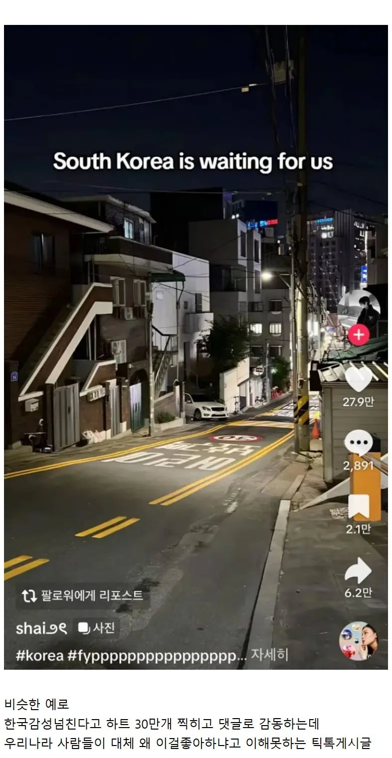 외국인은 좋아하는데 자국인은 이해 못하는것 (2)