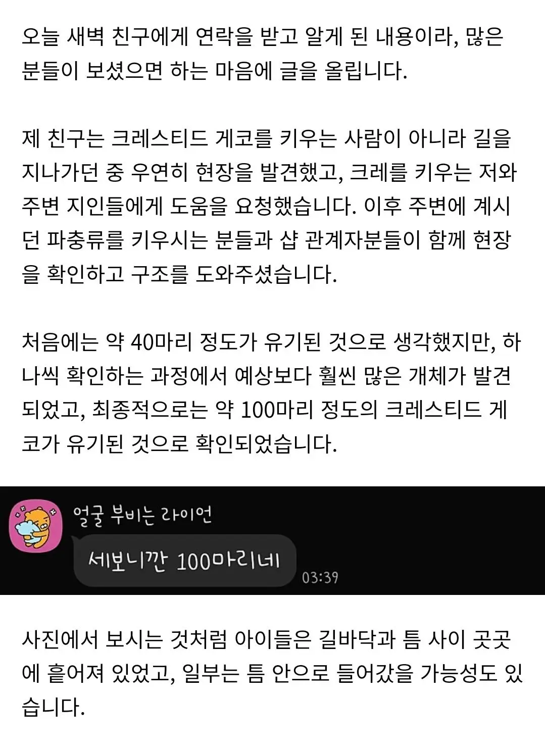 부산 도마뱀 100마리 유기사건 (2)