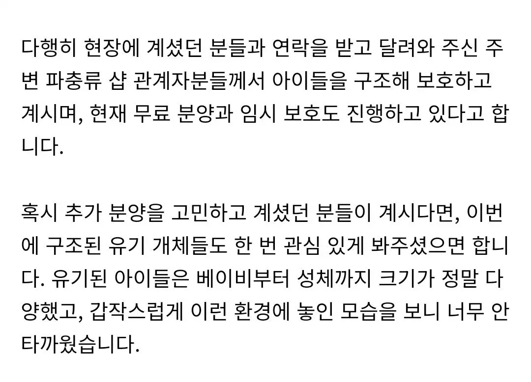 부산 도마뱀 100마리 유기사건 (3)