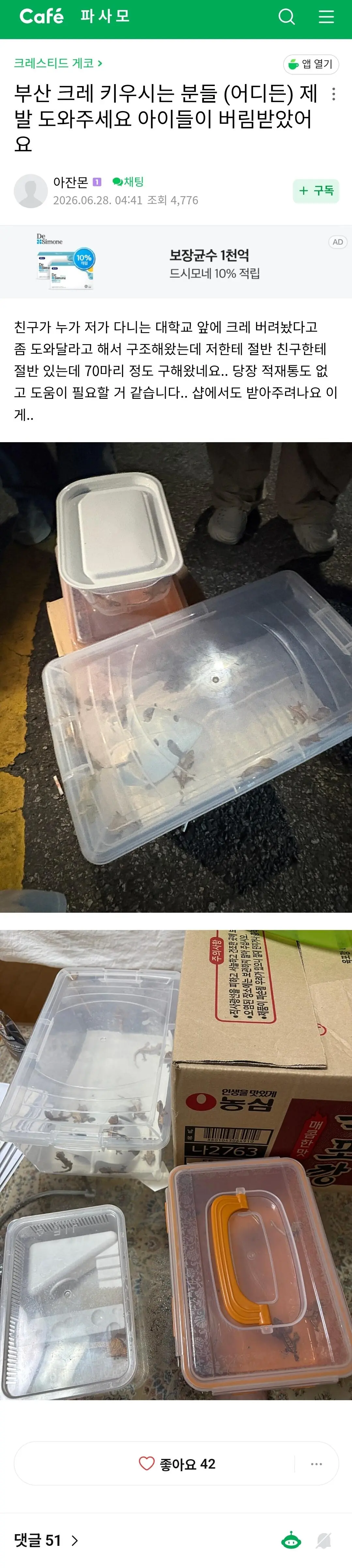 부산 도마뱀 100마리 유기사건 (7)