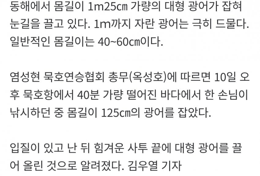 동해에서 낚은 125cm 짜리 초대형 광어 (3)