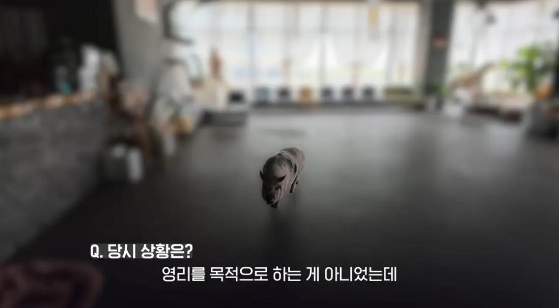 송도 돼지물림 사고 펫카페 사장 인터뷰