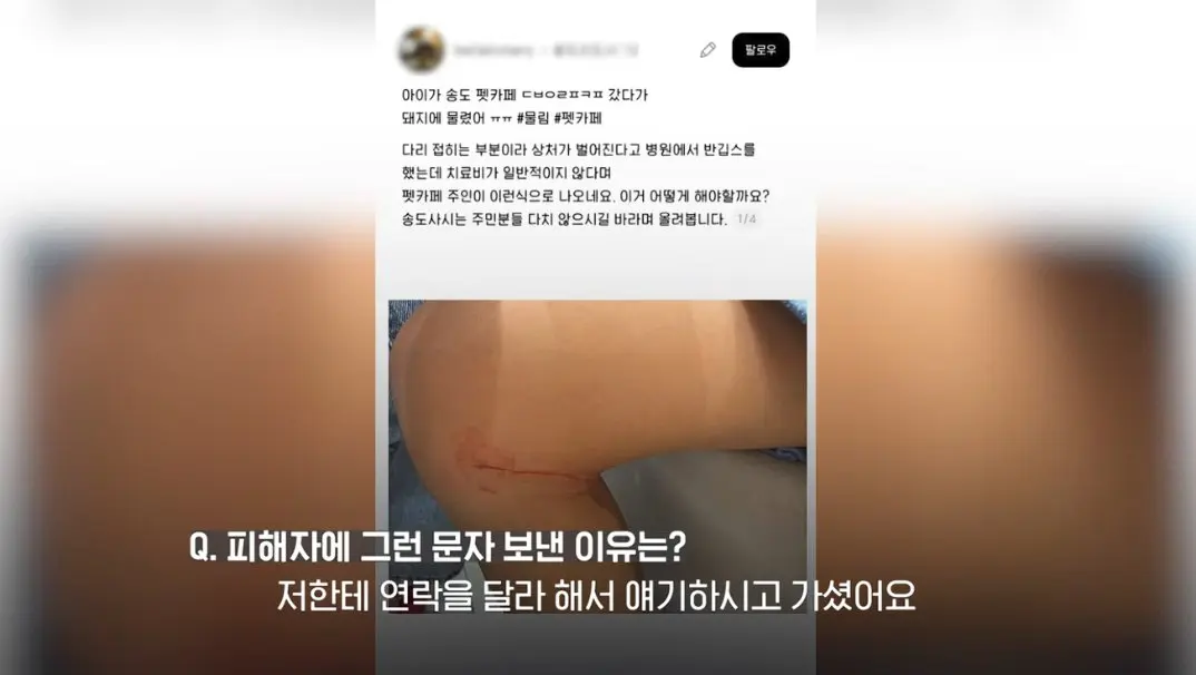 송도 돼지물림 사고 펫카페 사장 인터뷰 (20)