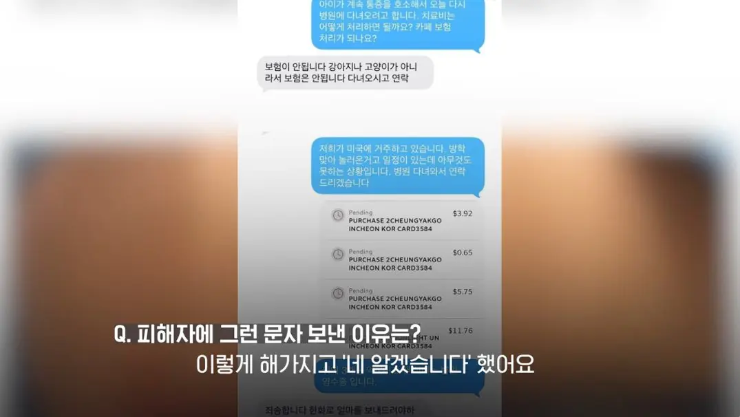 송도 돼지물림 사고 펫카페 사장 인터뷰 (26)
