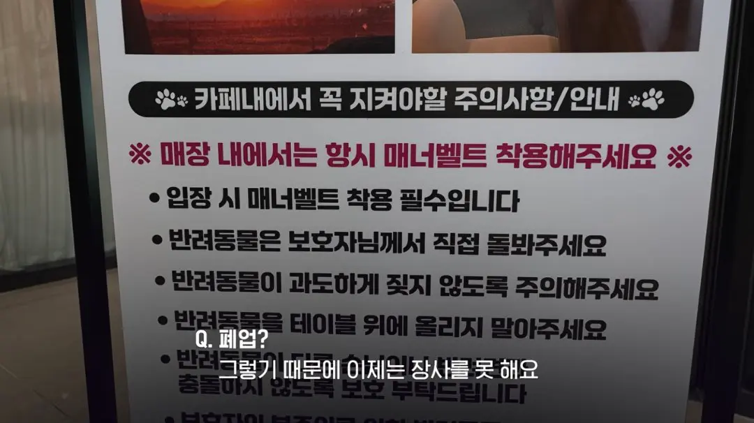 송도 돼지물림 사고 펫카페 사장 인터뷰 (66)