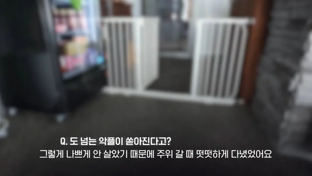 송도 돼지물림 사고 펫카페 사장 인터뷰 (79)