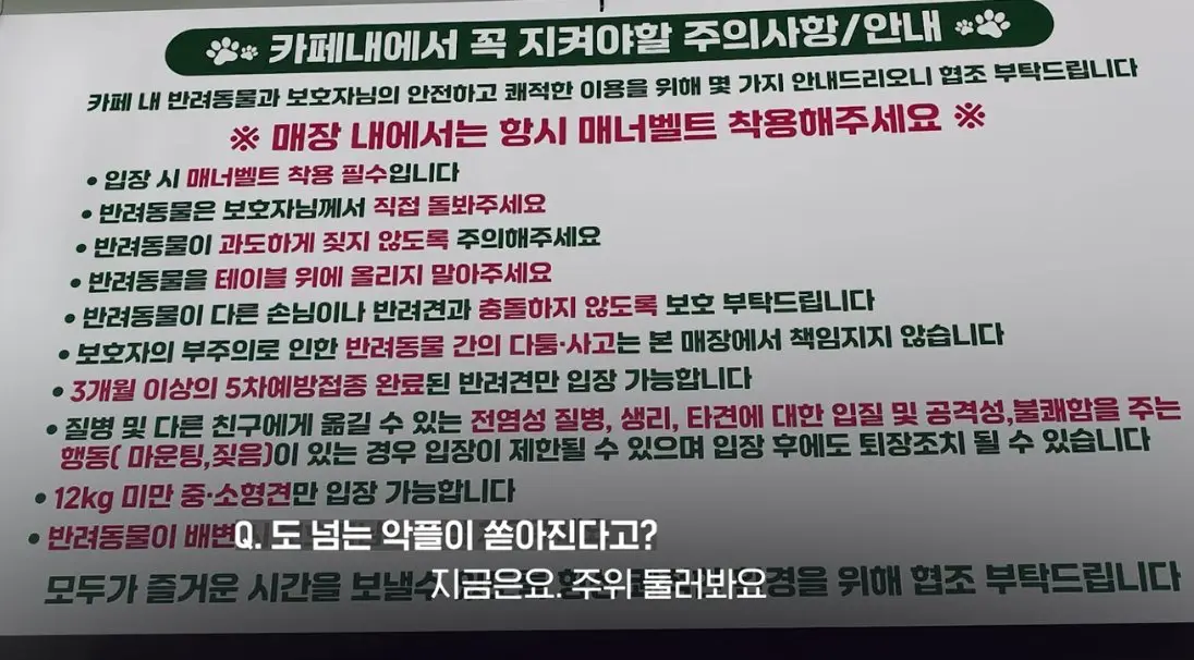 송도 돼지물림 사고 펫카페 사장 인터뷰 (80)