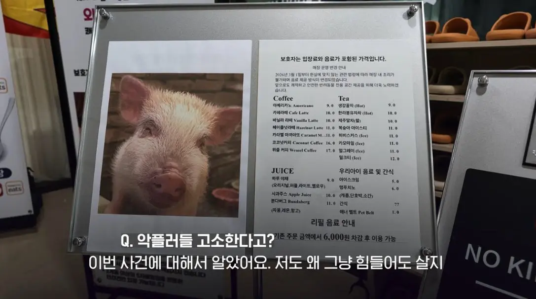 송도 돼지물림 사고 펫카페 사장 인터뷰 (87)