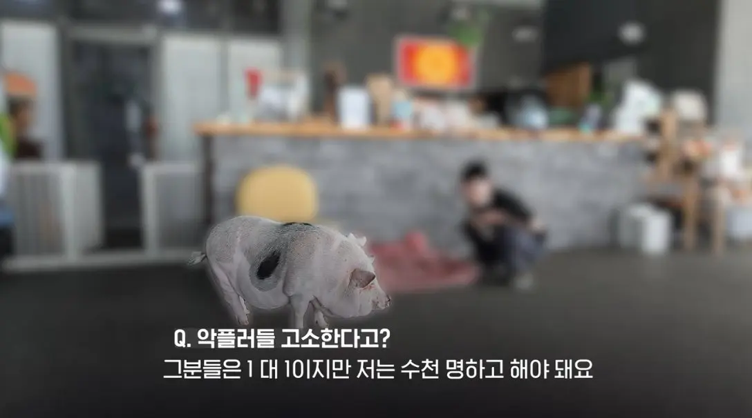송도 돼지물림 사고 펫카페 사장 인터뷰 (89)