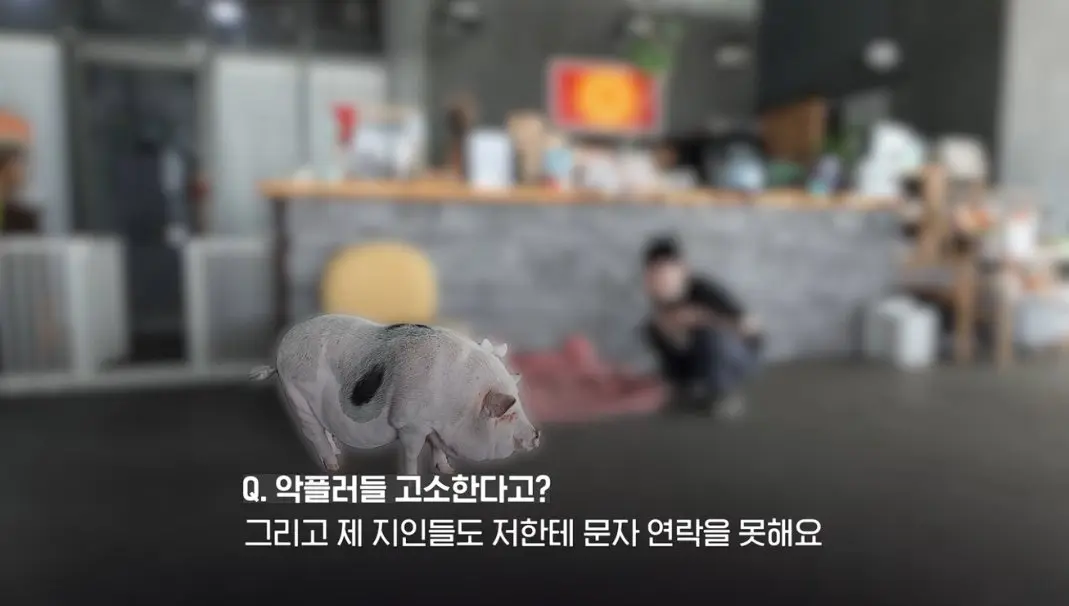 송도 돼지물림 사고 펫카페 사장 인터뷰 (90)