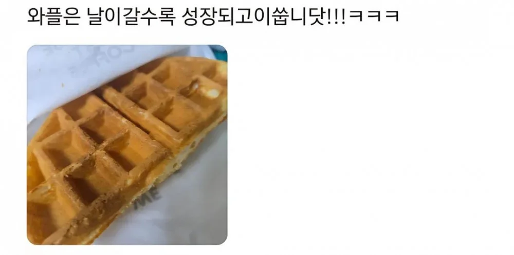 눈물나는 카페사장의 단골 지키기 (13)