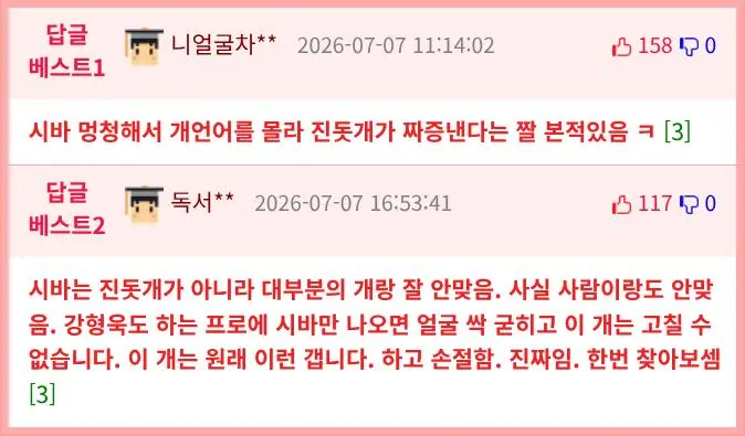 다른 개 들과 잘 안맞는다는 견종 (2)
